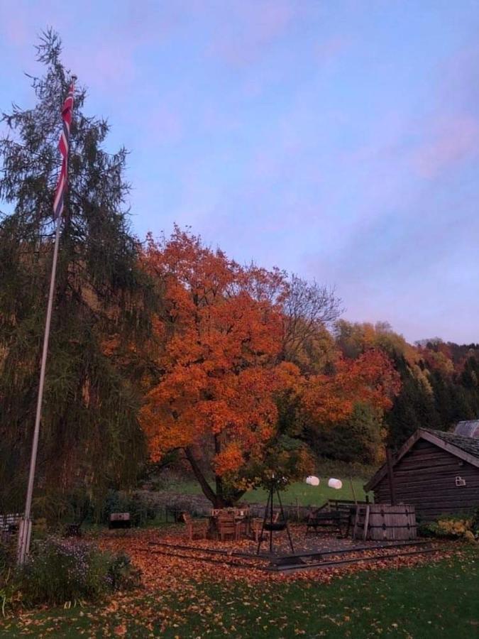 Skjeggestad *